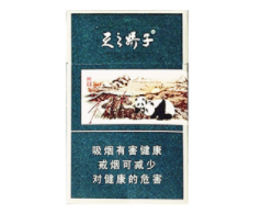 延安牌爆珠香烟价格表